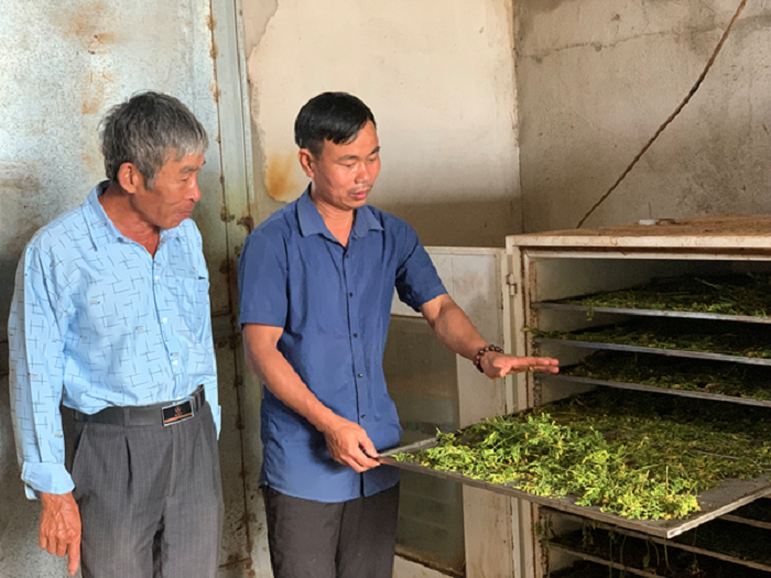Phát triển kinh tế hộ gia đình từ nông sản sấy ở xã Ea Sol.
